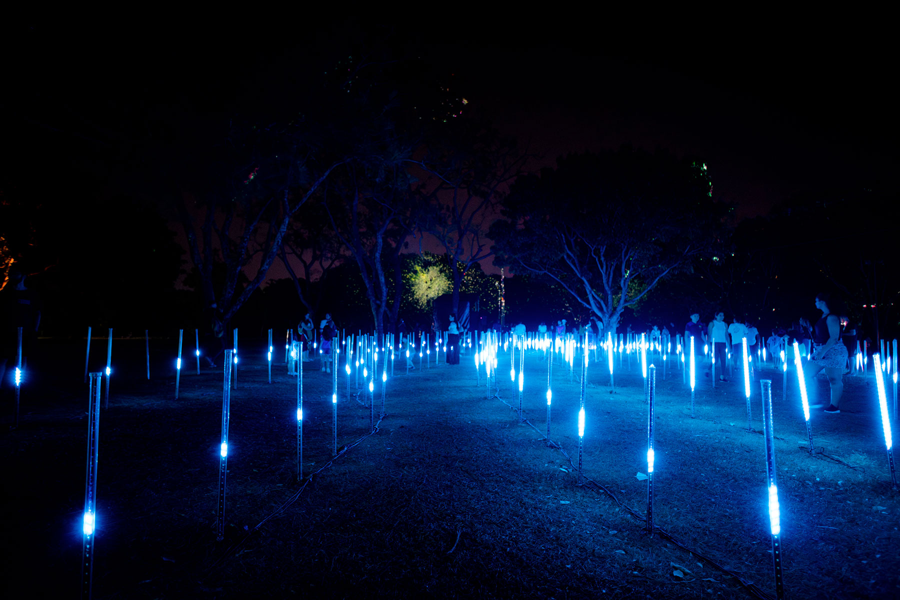 Jardim Digital