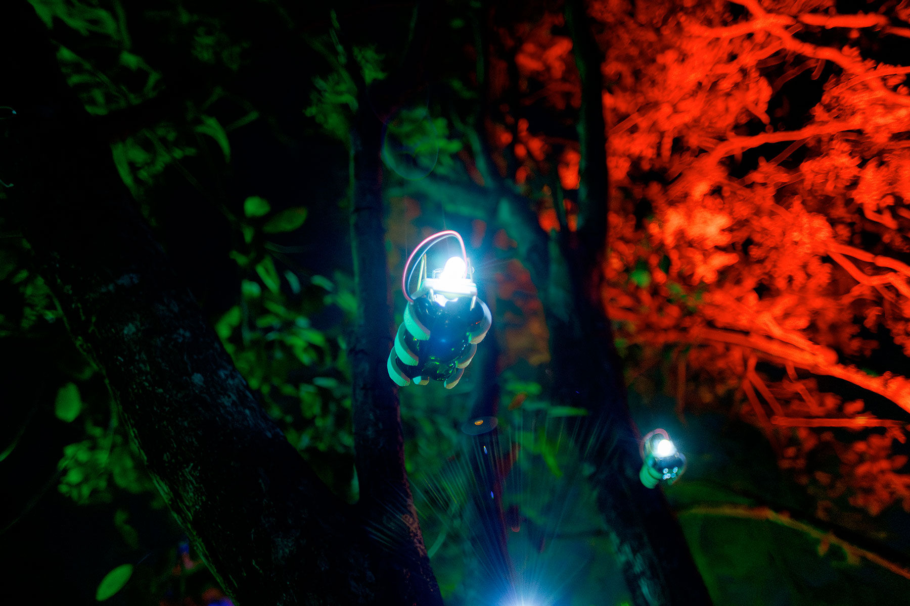 Vaga-Lume